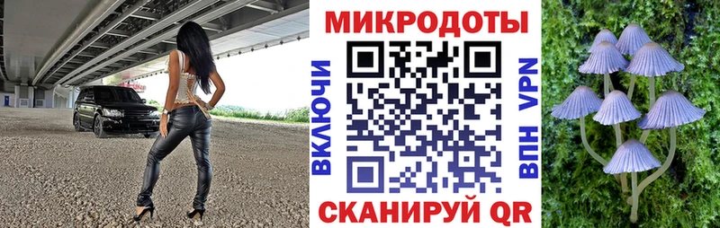 Галлюциногенные грибы ЛСД купить наркотики цена Арзамас